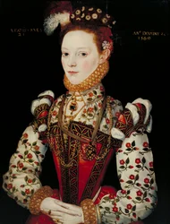A Young Lady Aged 21, Possibly Helena Snakenborg